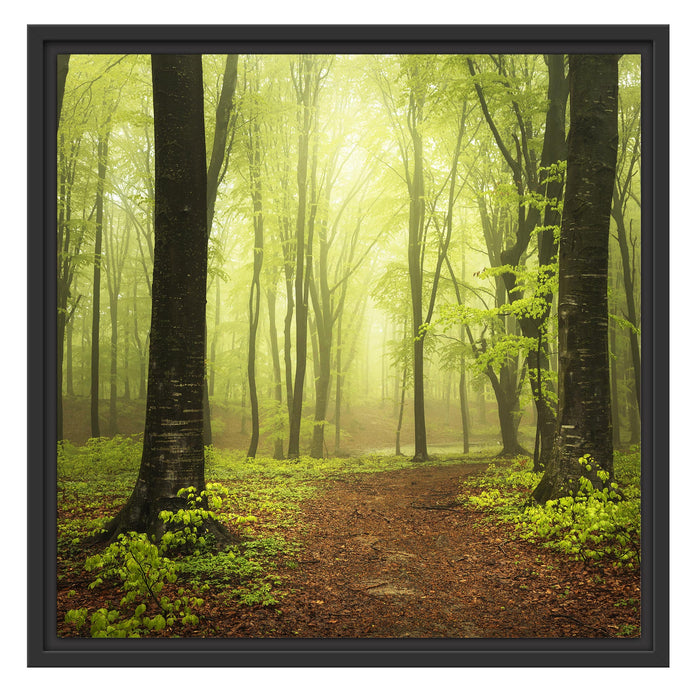 Weg in den Wald Schattenfugenrahmen Quadratisch 55x55