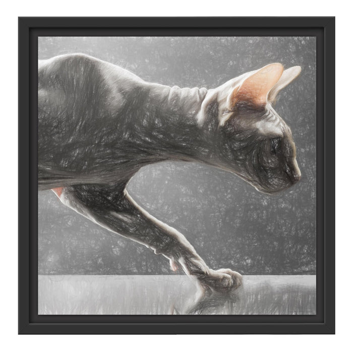 Einzigartige Sphynx Katze Schattenfugenrahmen Quadratisch 40x40