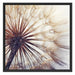 Schöne Pusteblume Schattenfugenrahmen Quadratisch 70x70