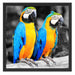 Zwei Papageien Schattenfugenrahmen Quadratisch 55x55