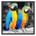 Zwei Papageien Schattenfugenrahmen Quadratisch 70x70