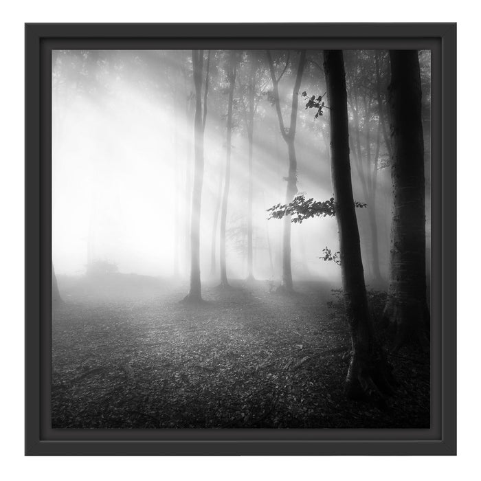 Düsterer Wald im Nebel Schattenfugenrahmen Quadratisch 40x40