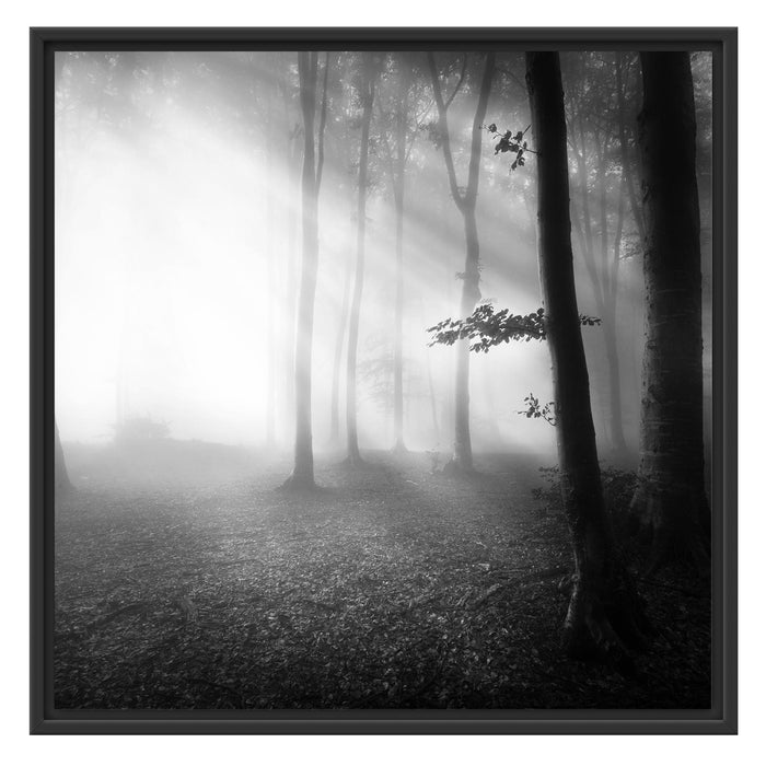 Düsterer Wald im Nebel Schattenfugenrahmen Quadratisch 70x70