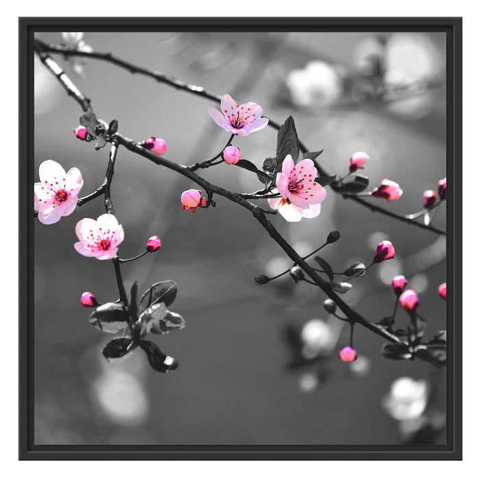 Exotische Sakura Blüten Schattenfugenrahmen Quadratisch 70x70