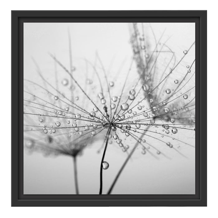 Pusteblume bedeckt mit Tropfen Schattenfugenrahmen Quadratisch 40x40