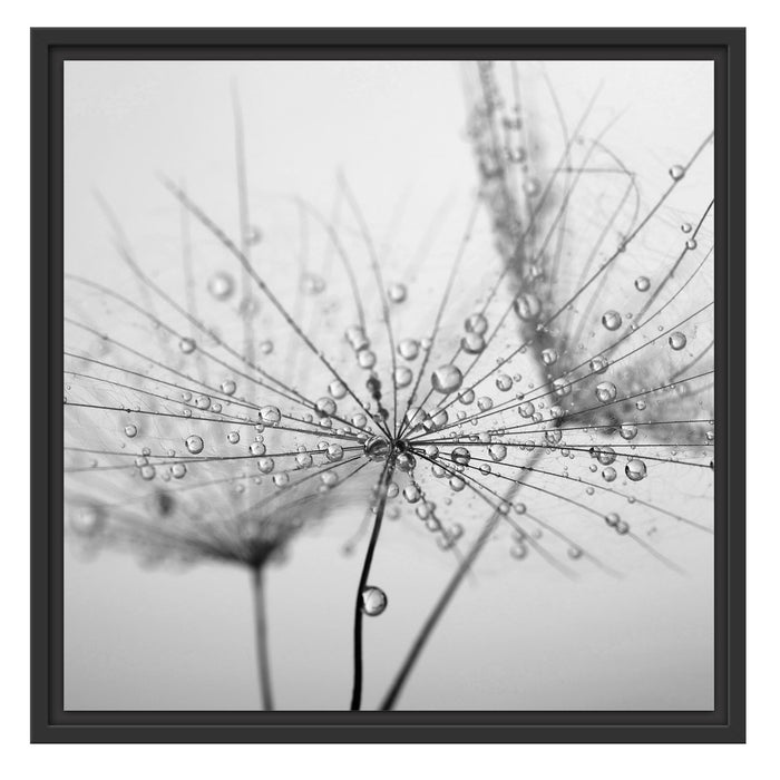 Pusteblume bedeckt mit Tropfen Schattenfugenrahmen Quadratisch 55x55
