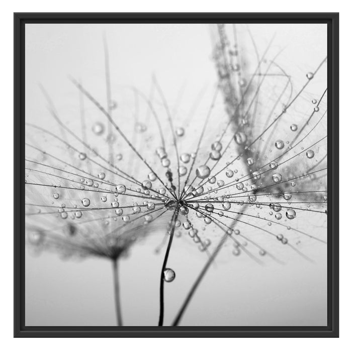 Pusteblume bedeckt mit Tropfen Schattenfugenrahmen Quadratisch 70x70