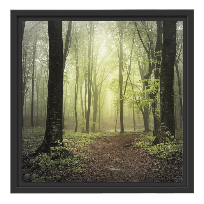 Weg im Wald Schattenfugenrahmen Quadratisch 40x40