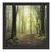 Weg im Wald Schattenfugenrahmen Quadratisch 40x40
