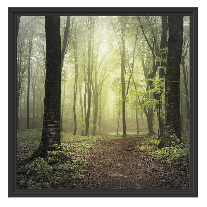 Weg im Wald Schattenfugenrahmen Quadratisch 55x55