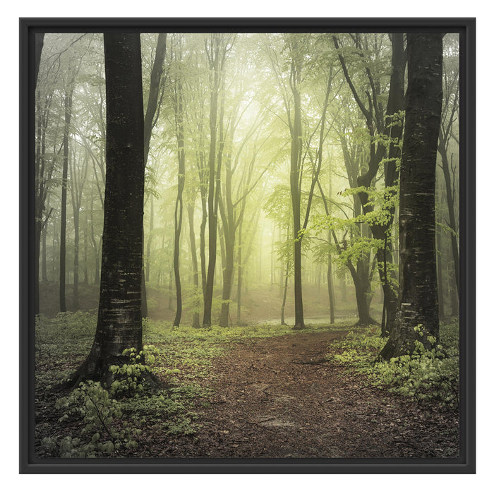 Weg im Wald Schattenfugenrahmen Quadratisch 70x70