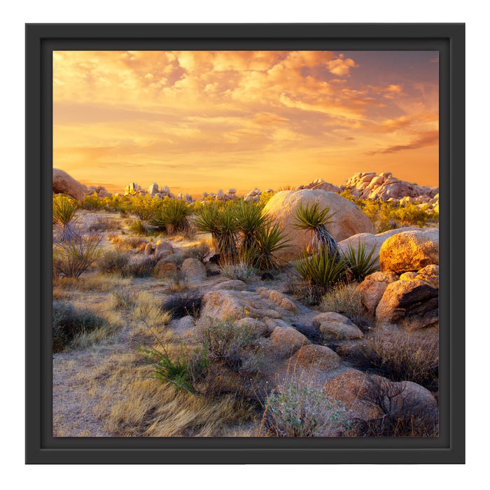 Joshua Wüste im Sonnenuntergang Schattenfugenrahmen Quadratisch 40x40