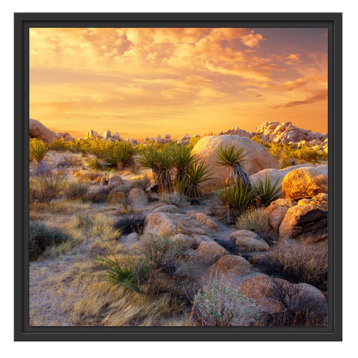Joshua Wüste im Sonnenuntergang Schattenfugenrahmen Quadratisch 55x55