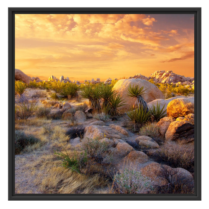 Joshua Wüste im Sonnenuntergang Schattenfugenrahmen Quadratisch 70x70