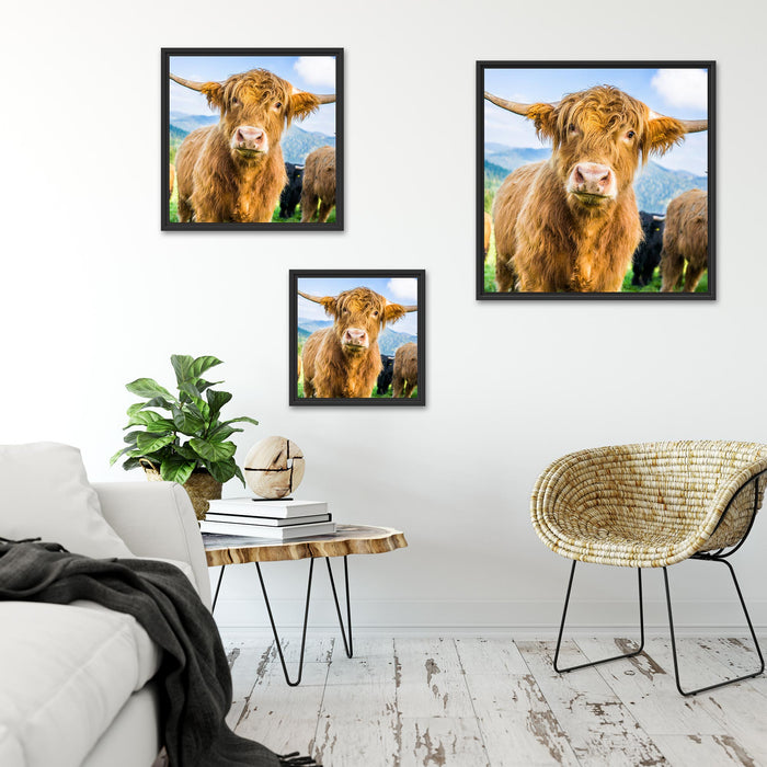 Blick einer Kuh an der Weide Quadratisch Schattenfugenrahmen Wohnzimmer