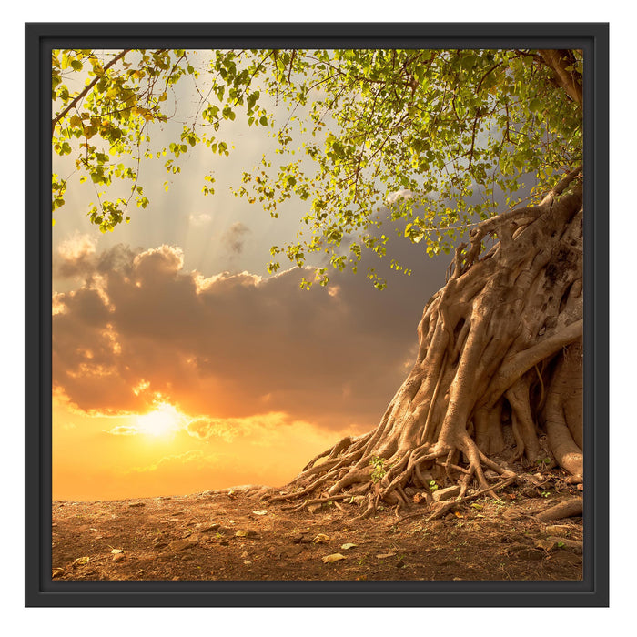 Baum Schattenfugenrahmen Quadratisch 55x55