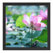 rosa Lotusblüte im Teich Schattenfugenrahmen Quadratisch 40x40