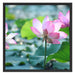 rosa Lotusblüte im Teich Schattenfugenrahmen Quadratisch 70x70