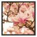 Rosa Magnolienblüten im Frühling Schattenfugenrahmen Quadratisch 70x70