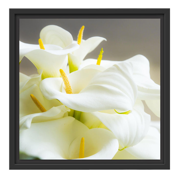 Wunderschöne weiße Calla Lilien Schattenfugenrahmen Quadratisch 40x40
