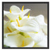 Wunderschöne weiße Calla Lilien Schattenfugenrahmen Quadratisch 70x70