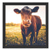 Kuh auf Blumenwiese Schattenfugenrahmen Quadratisch 40x40