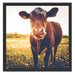 Kuh auf Blumenwiese Schattenfugenrahmen Quadratisch 55x55