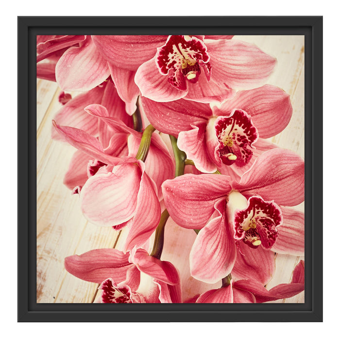 Rosane Orchideenblüten Schattenfugenrahmen Quadratisch 40x40
