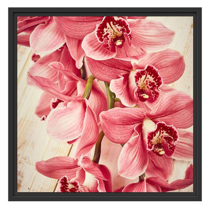 Rosane Orchideenblüten Schattenfugenrahmen Quadratisch 55x55