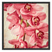 Rosane Orchideenblüten Schattenfugenrahmen Quadratisch 70x70