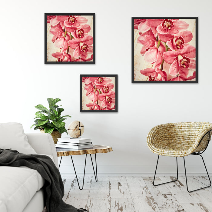 Rosane Orchideenblüten Quadratisch Schattenfugenrahmen Wohnzimmer