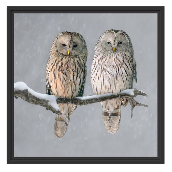 Zwei Eulen in Winterlandschaft Schattenfugenrahmen Quadratisch 55x55