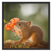 Eichhörnchen riecht an einer Blume Schattenfugenrahmen Quadratisch 70x70