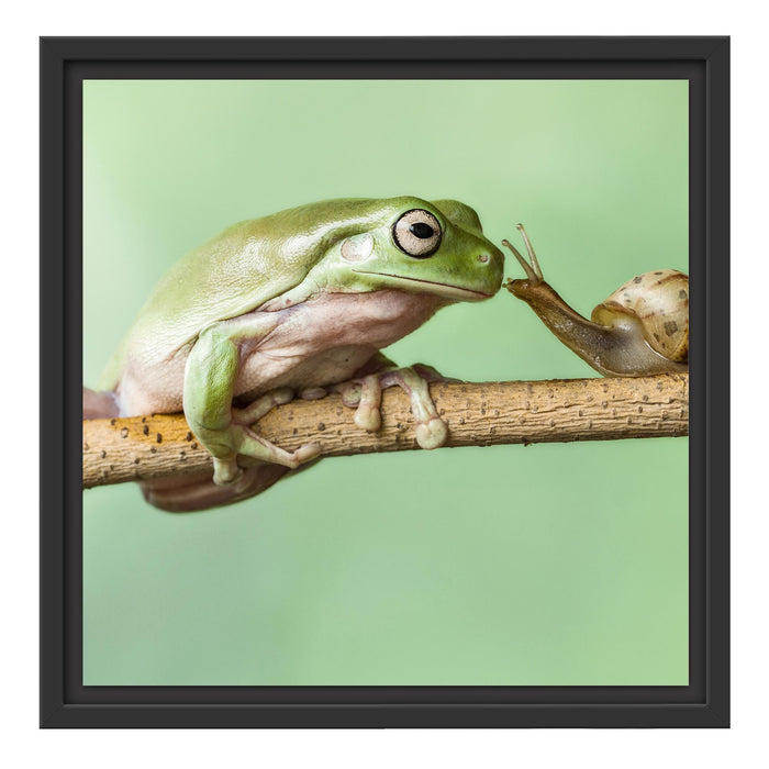 der Frosch und die Schnecke Schattenfugenrahmen Quadratisch 40x40