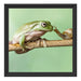 der Frosch und die Schnecke Schattenfugenrahmen Quadratisch 40x40