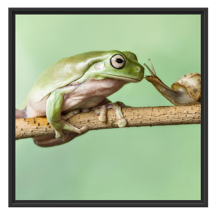 der Frosch und die Schnecke Schattenfugenrahmen Quadratisch 70x70