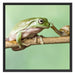 der Frosch und die Schnecke Schattenfugenrahmen Quadratisch 70x70