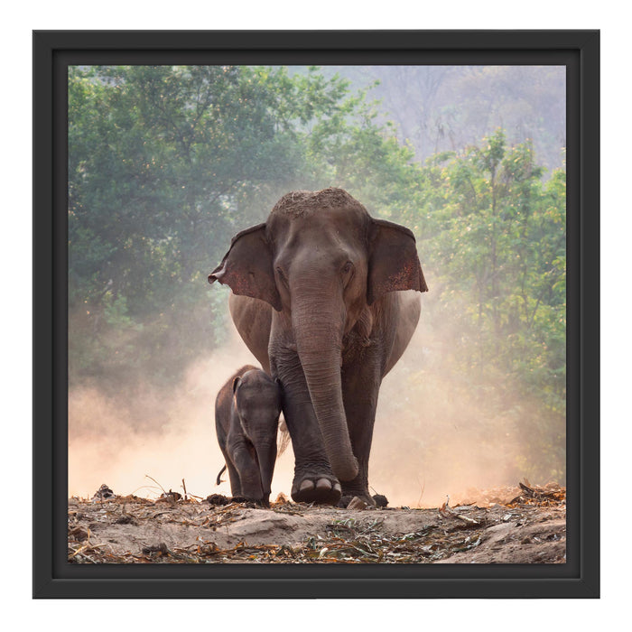Elefantenbaby mit Mutter Schattenfugenrahmen Quadratisch 40x40
