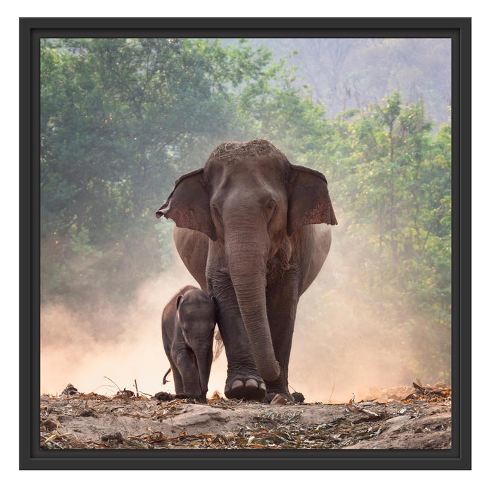 Elefantenbaby mit Mutter Schattenfugenrahmen Quadratisch 55x55