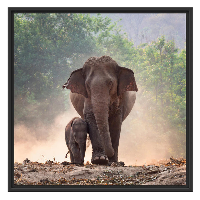 Elefantenbaby mit Mutter Schattenfugenrahmen Quadratisch 70x70