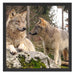 Wölfe im Wald Schattenfugenrahmen Quadratisch 55x55
