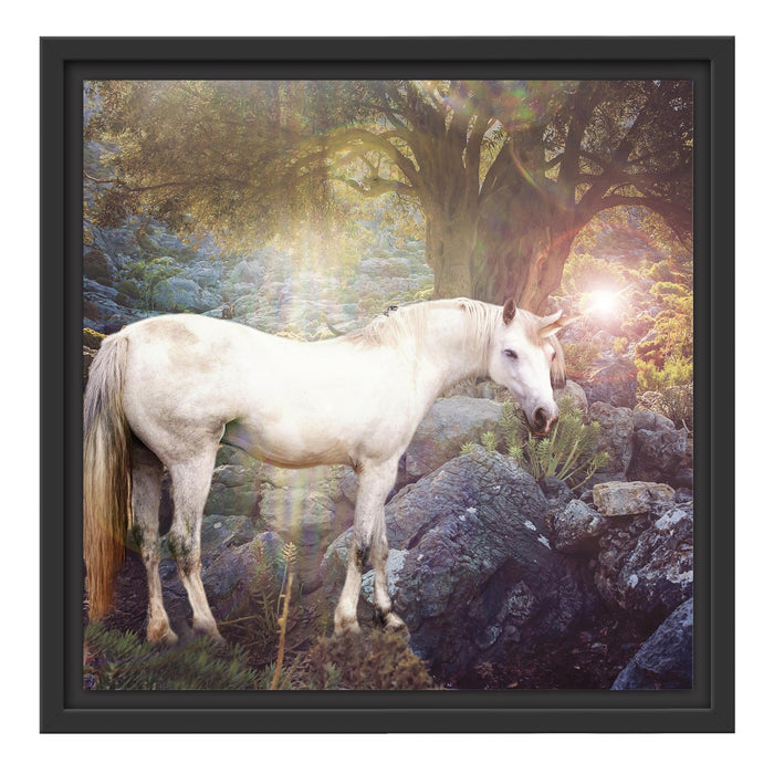 wunderbares Einhorn Schattenfugenrahmen Quadratisch 40x40