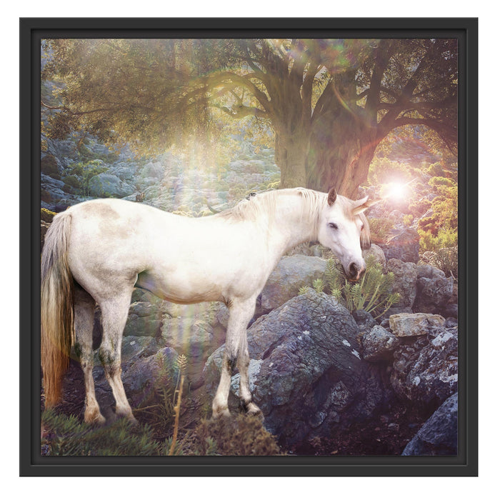 wunderbares Einhorn Schattenfugenrahmen Quadratisch 55x55