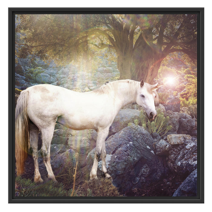 wunderbares Einhorn Schattenfugenrahmen Quadratisch 70x70