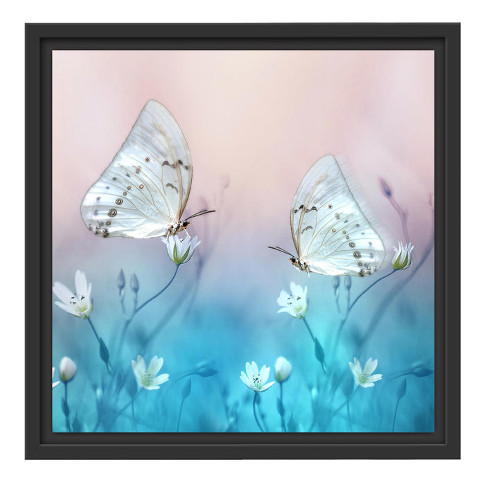 Schmetterling auf kleinen Blumen Schattenfugenrahmen Quadratisch 40x40
