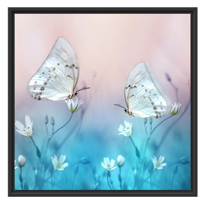 Schmetterling auf kleinen Blumen Schattenfugenrahmen Quadratisch 70x70
