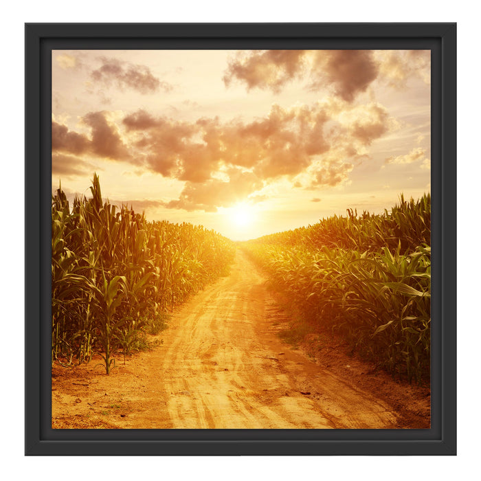 Pfad durch Feld Schattenfugenrahmen Quadratisch 40x40