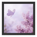 Schmetterling Kirschblüten Schattenfugenrahmen Quadratisch 40x40