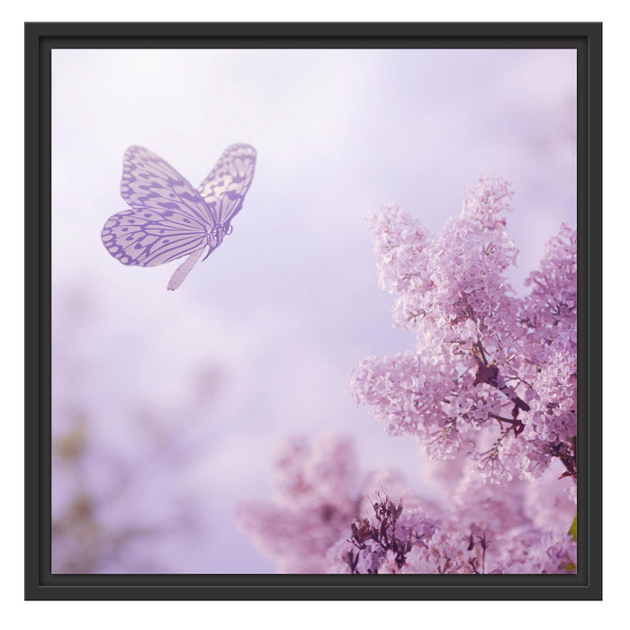 Schmetterling Kirschblüten Schattenfugenrahmen Quadratisch 55x55