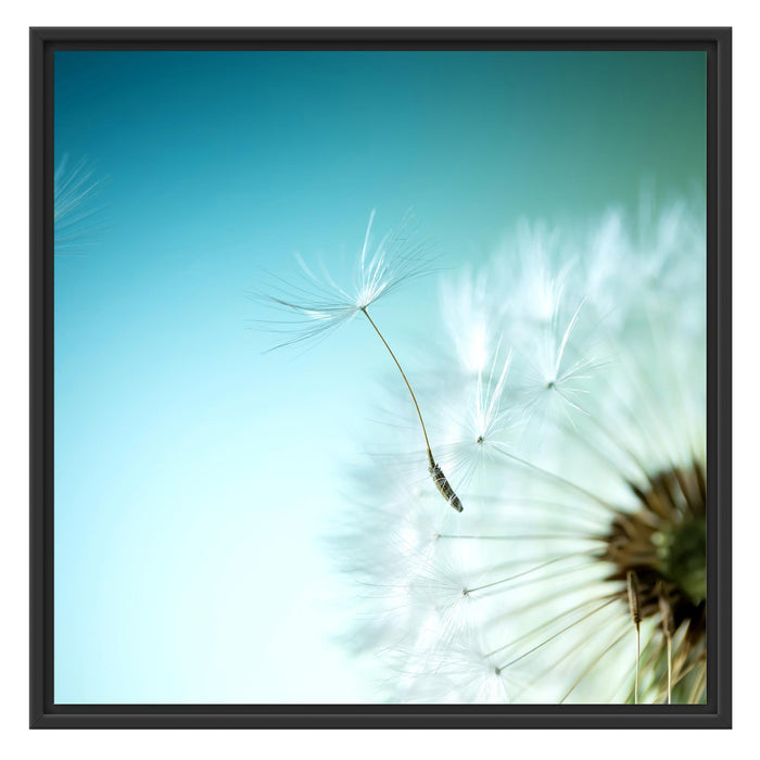 Löwenzahn Pusteblume Schattenfugenrahmen Quadratisch 70x70